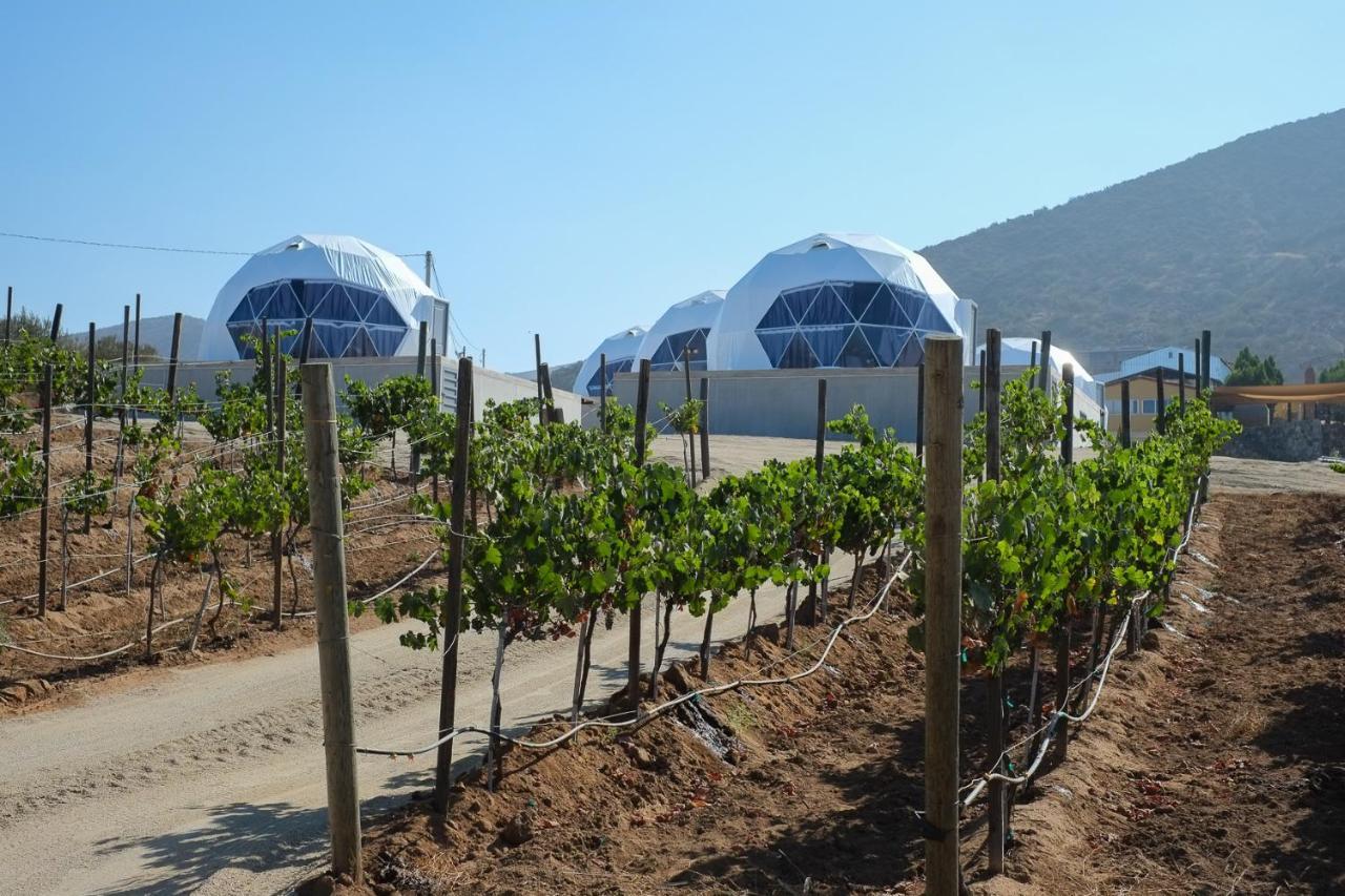 Cupulas Del Valle By Villa De La Rosa 恩塞纳达港 外观 照片